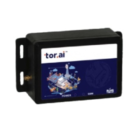 Tor Mini 2G Gateway
